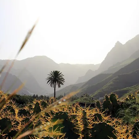 La Papaya - Eco - Yoga - Hiking - אכסניה
